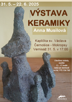 Výstava: Anna Musilová - To nejlepší z tvorby 1